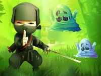 Ninja vs slime