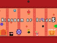 Kingdom of ninja 5