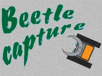 Beetle capture