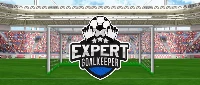 Expert goalkeeper