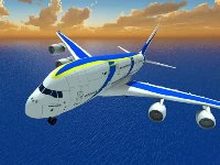 Airplane fly simulator