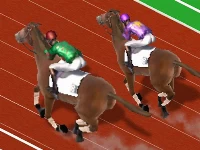 Derby racing