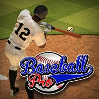 Baseball pro game