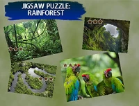 Jigsaw puzzle rain forest