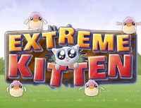 Extreme kitten