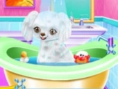 My new poodle friend - pet care game