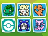 Connect animal pokematch