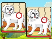 Dogs spot the differences 2