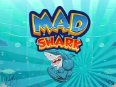 Mad shark fish