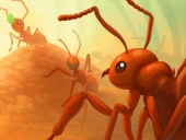 Ants io