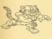 Tiger coloring book