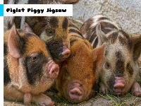 Piglet piggy jigsaw