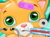 Little cat doctor pet vet game