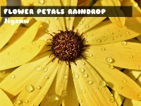 Flower petals raindrop jigsaw